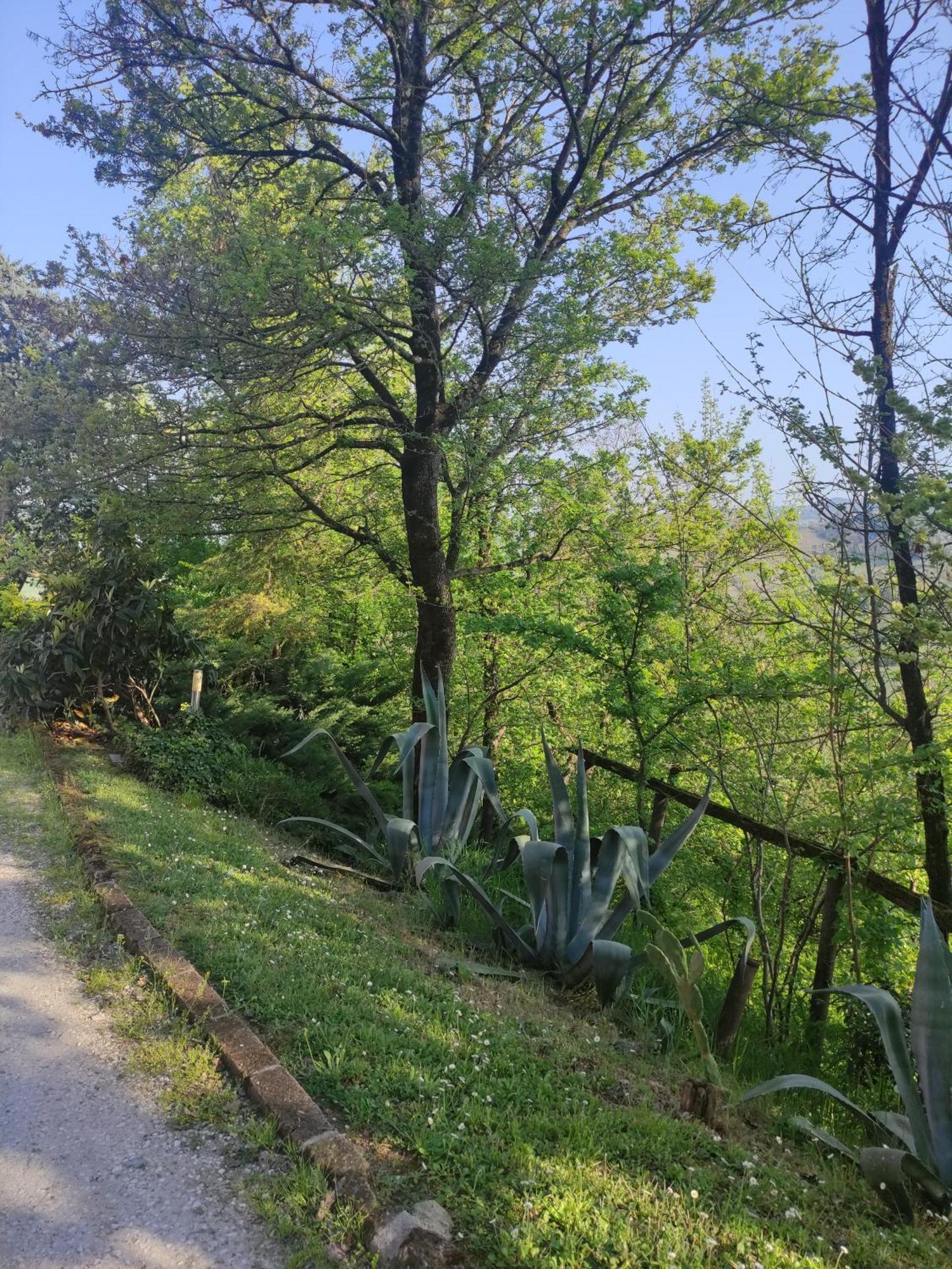 La Pergola Bed and Breakfast Becedasco Εξωτερικό φωτογραφία