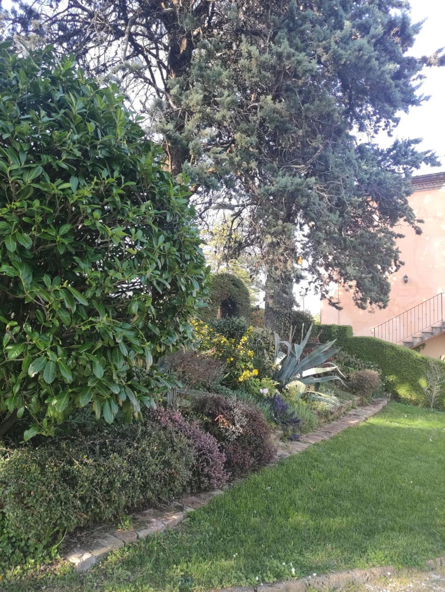 La Pergola Bed and Breakfast Becedasco Εξωτερικό φωτογραφία